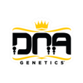 DNA Genetics B-DNGe